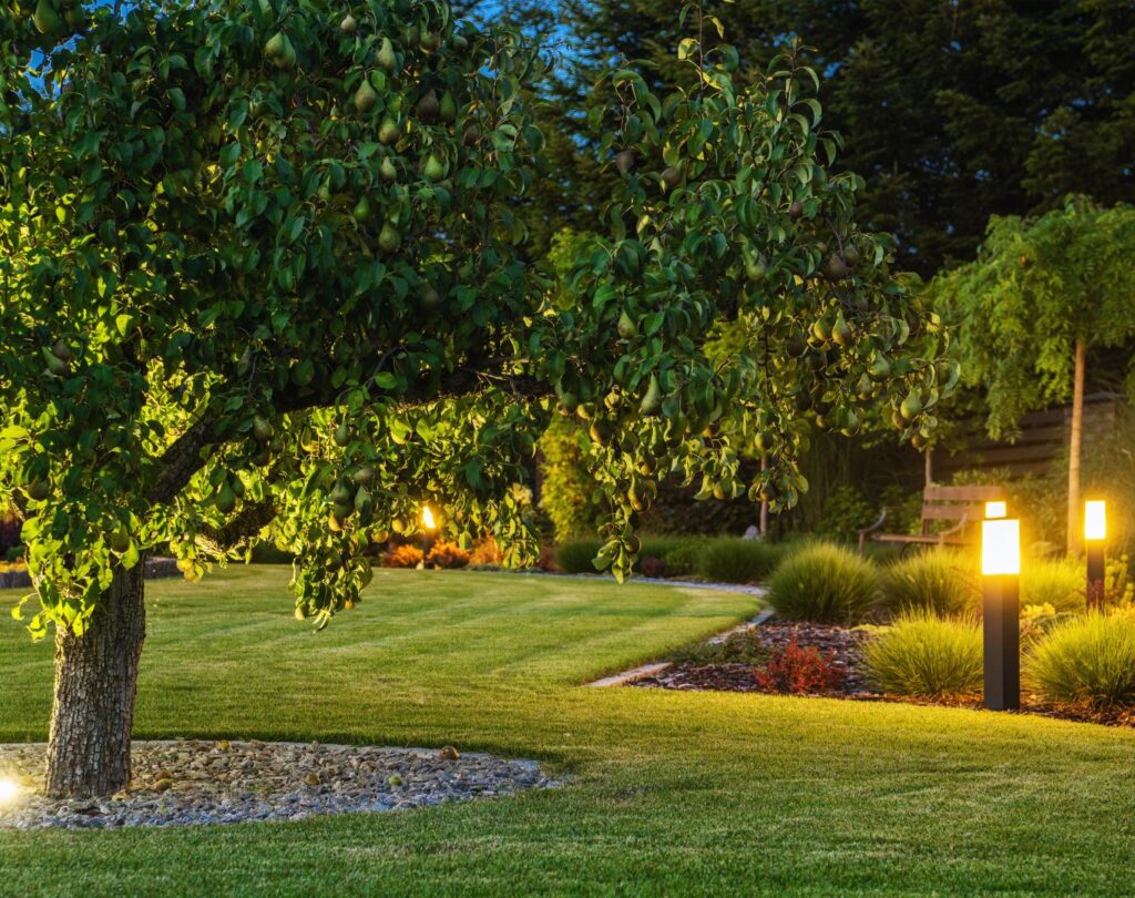 Landscaping design near me in Eden Prairie, MN with tailored features