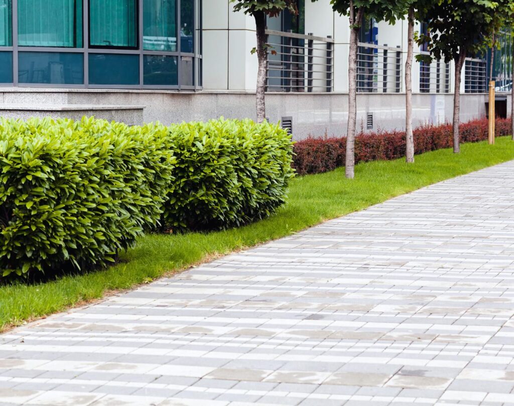 Professional landscaper services in New Brighton, MN for custom landscapes.